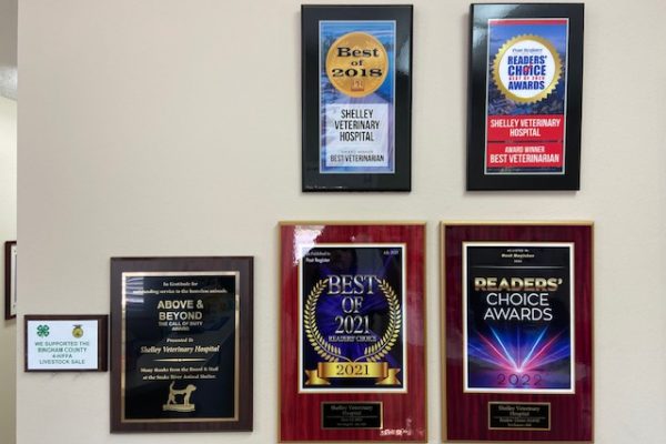 Clinic awards