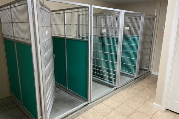 Dog kennels 2