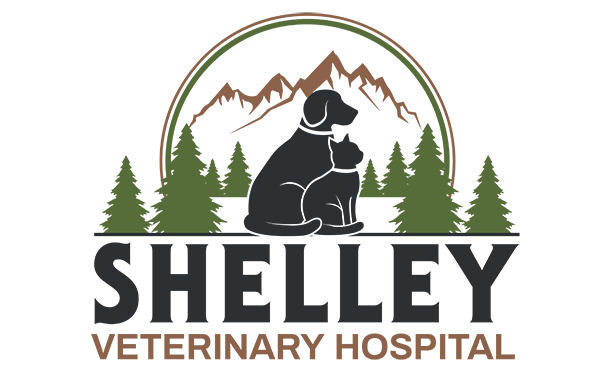 Shelley Veterinary Hospital